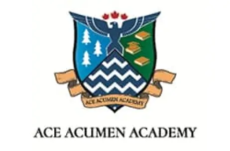 ACE Acumen Academy