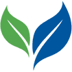 Home Eco-Friendly Approach