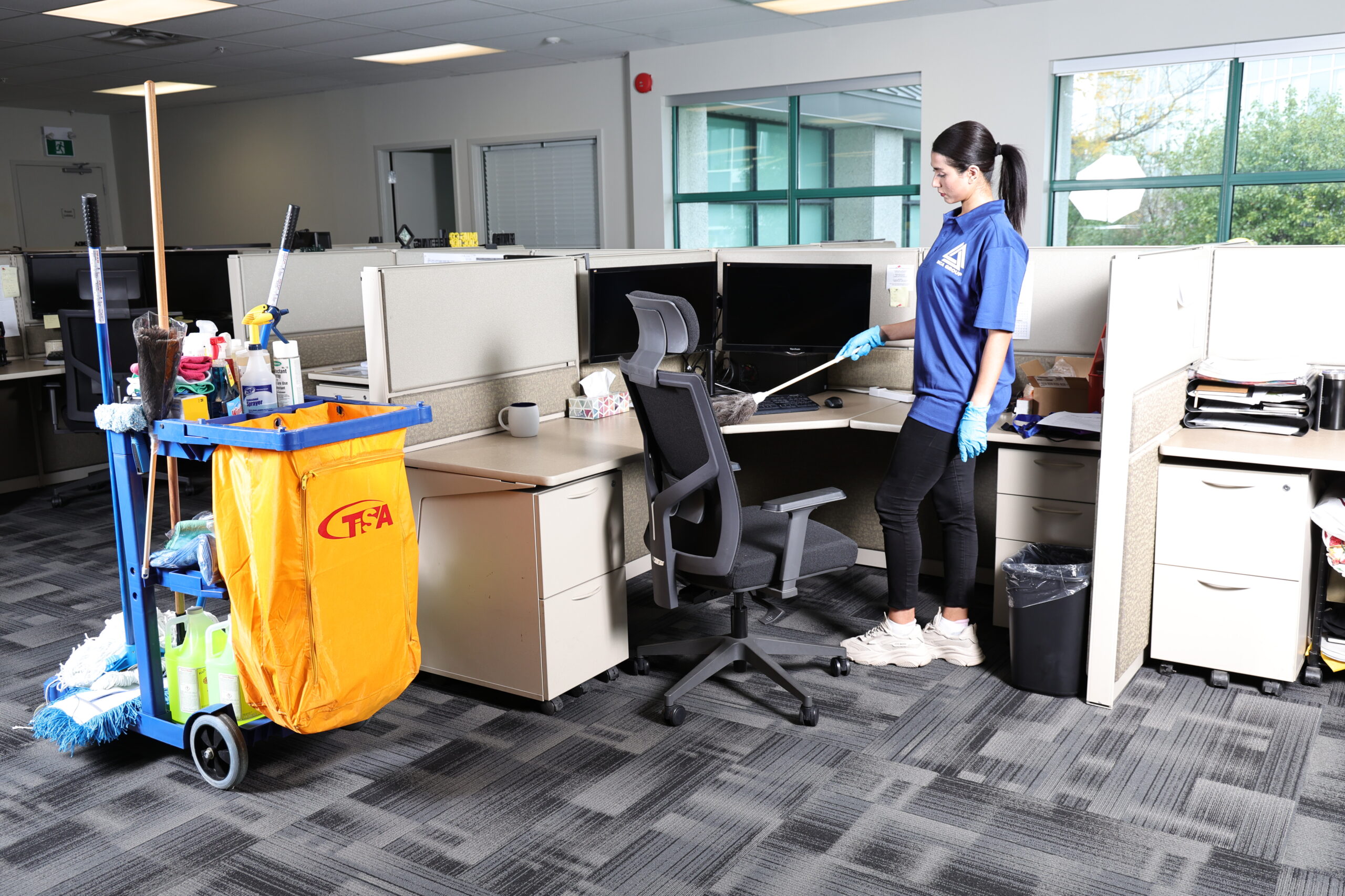 Building Cleaning