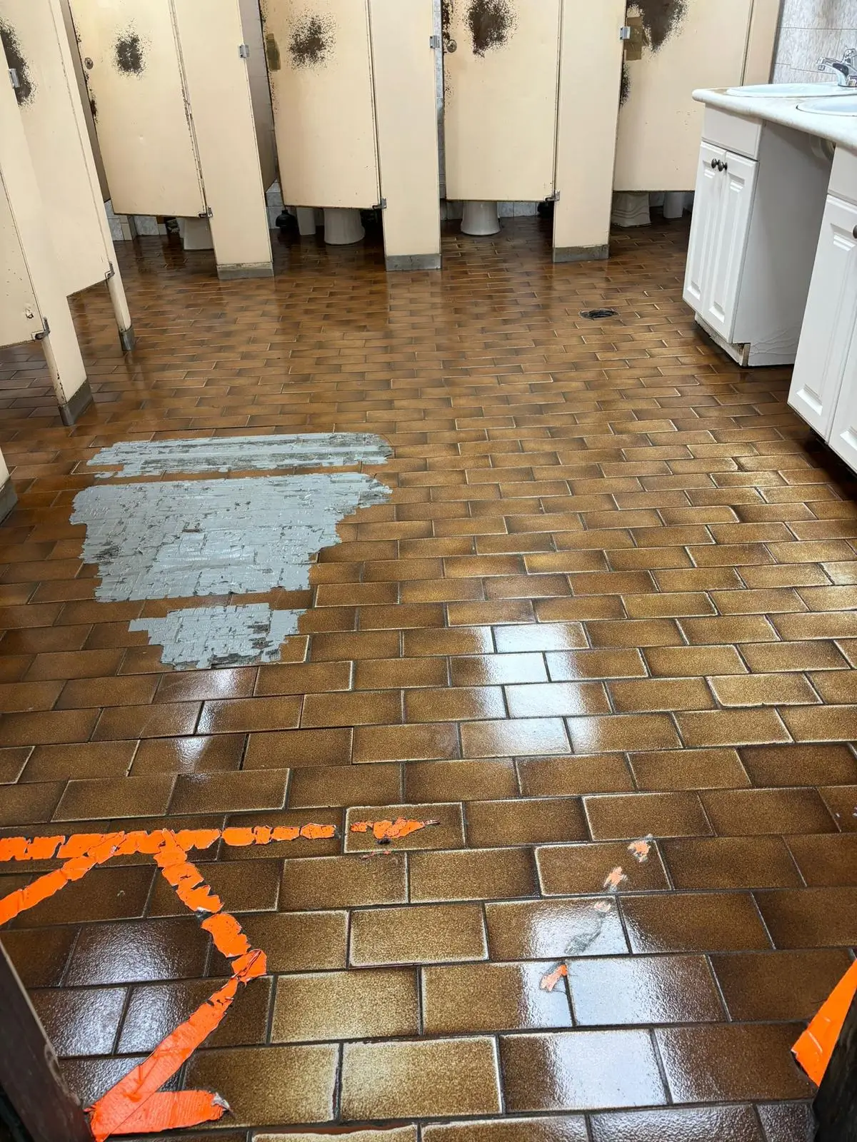 Restroom Cleaning