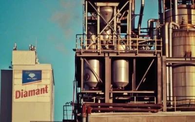 The Best Food Plant Sanitation Procedures to Take