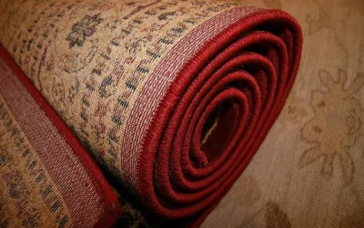 7 Reasons To Have Your Carpets Professionally Cleaned