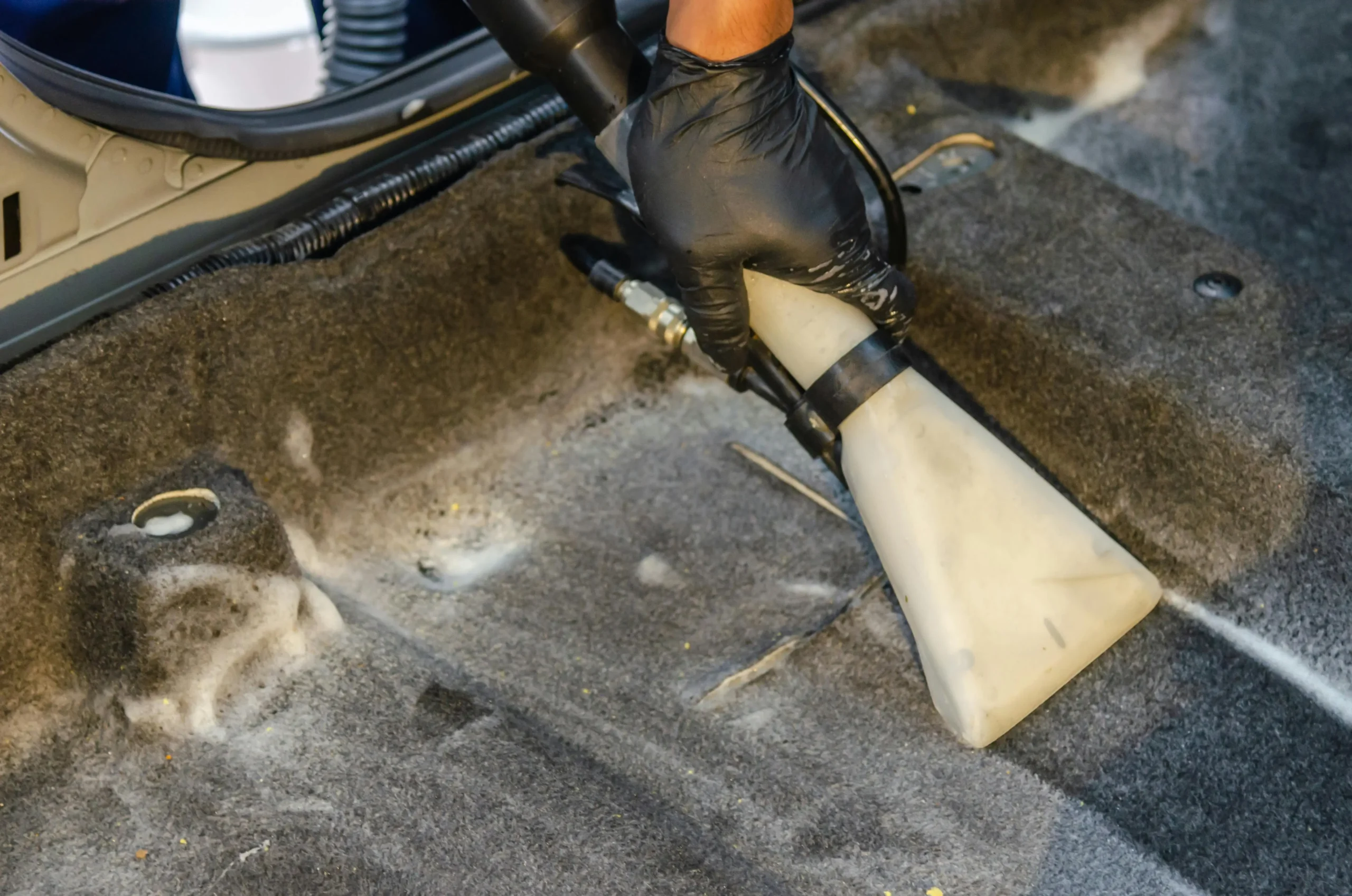 carpet cleaning services